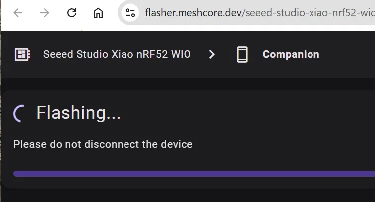 Device booting after successful flash